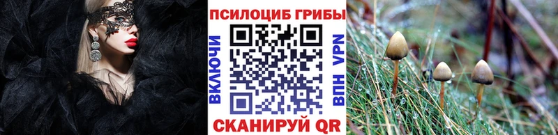 Псилоцибиновые грибы Psilocybe  Купить закладки  Поворино 