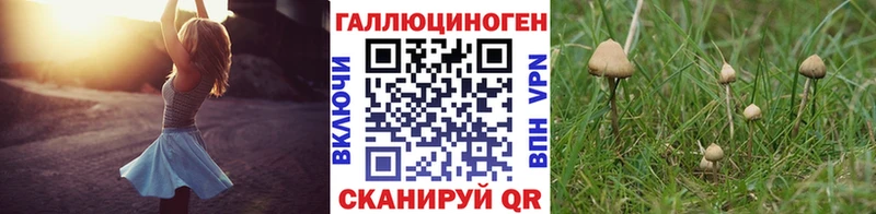 Галлюциногенные грибы MAGIC MUSHROOMS Поворино